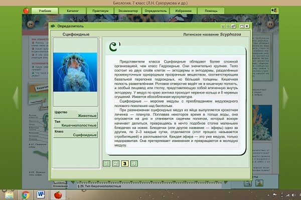 Кракен шоп зеркало