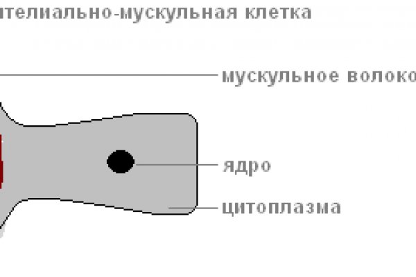 Зайти на кракен через браузер